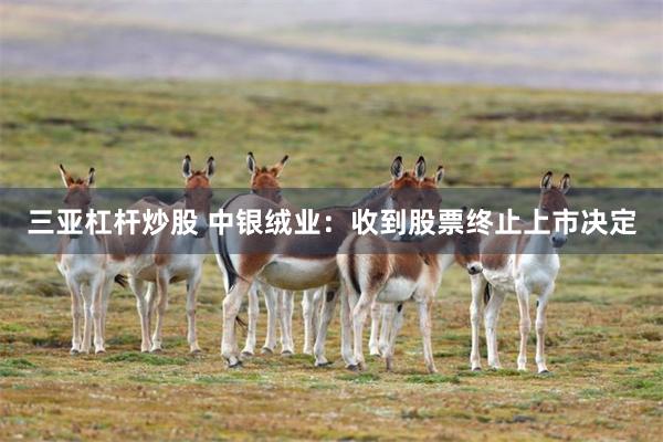 三亚杠杆炒股 中银绒业：收到股票终止上市决定