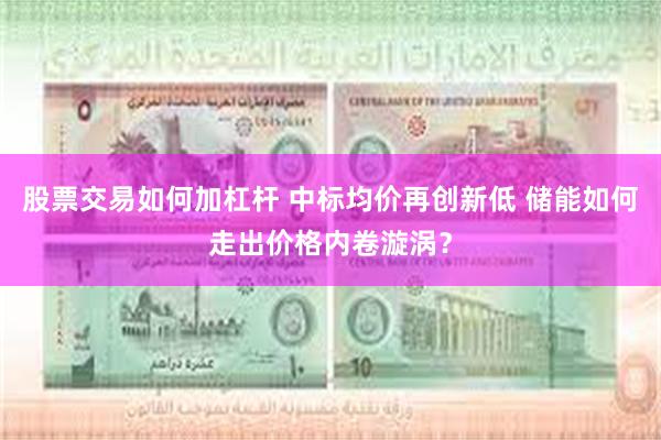 股票交易如何加杠杆 中标均价再创新低 储能如何走出价格内卷漩涡？
