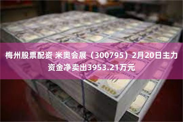 梅州股票配资 米奥会展（300795）2月20日主力资金净卖出3953.21万元