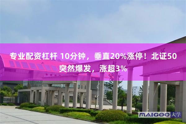 专业配资杠杆 10分钟，垂直20%涨停！北证50突然爆发，涨超3%