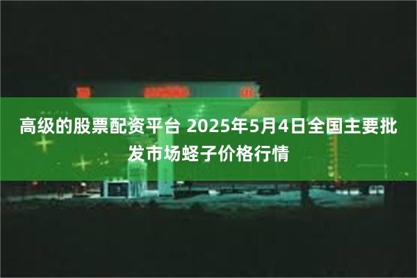 高级的股票配资平台 2025年5月4日全国主要批发市场蛏子价格行情