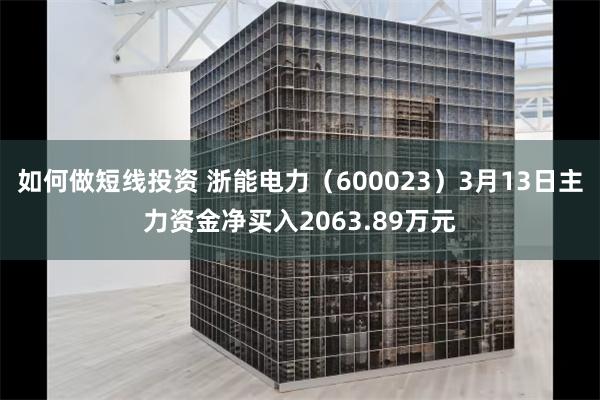 如何做短线投资 浙能电力（600023）3月13日主力资金净买入2063.89万元