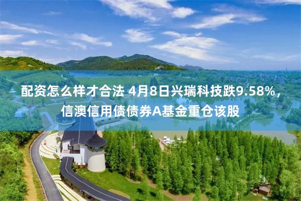 配资怎么样才合法 4月8日兴瑞科技跌9.58%，信澳信用债债券A基金重仓该股