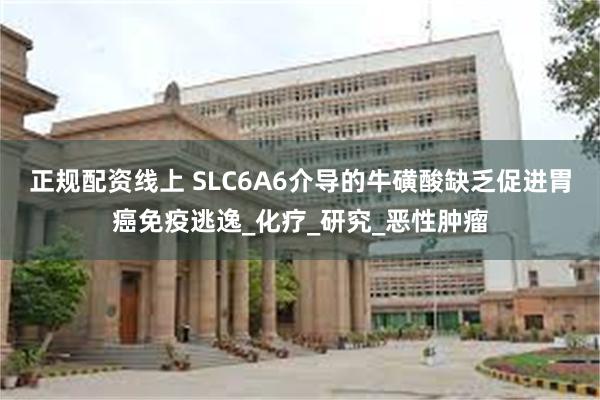 正规配资线上 SLC6A6介导的牛磺酸缺乏促进胃癌免疫逃逸_化疗_研究_恶性肿瘤