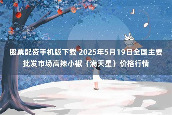 股票配资手机版下载 2025年5月19日全国主要批发市场高辣小椒（满天星）价格行情