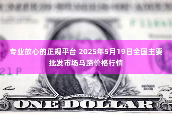专业放心的正规平台 2025年5月19日全国主要批发市场马蹄价格行情