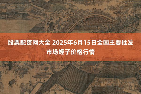 股票配资网大全 2025年6月15日全国主要批发市场蛏子价格行情