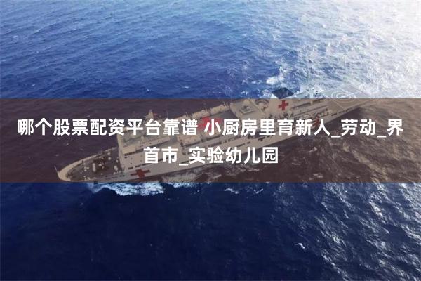 哪个股票配资平台靠谱 小厨房里育新人_劳动_界首市_实验幼儿园